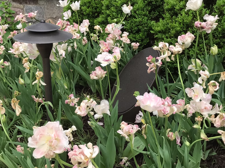 Landscape speakers blending into a luxury outdoor living space